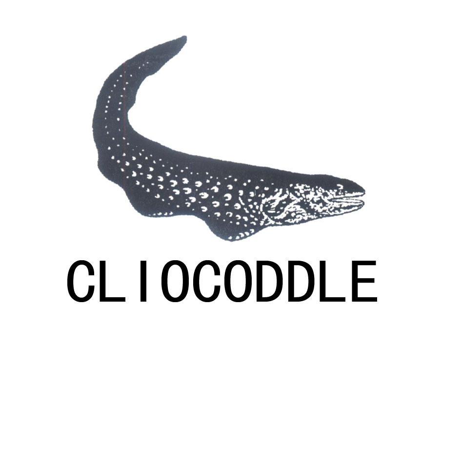 CLIOCODDLE