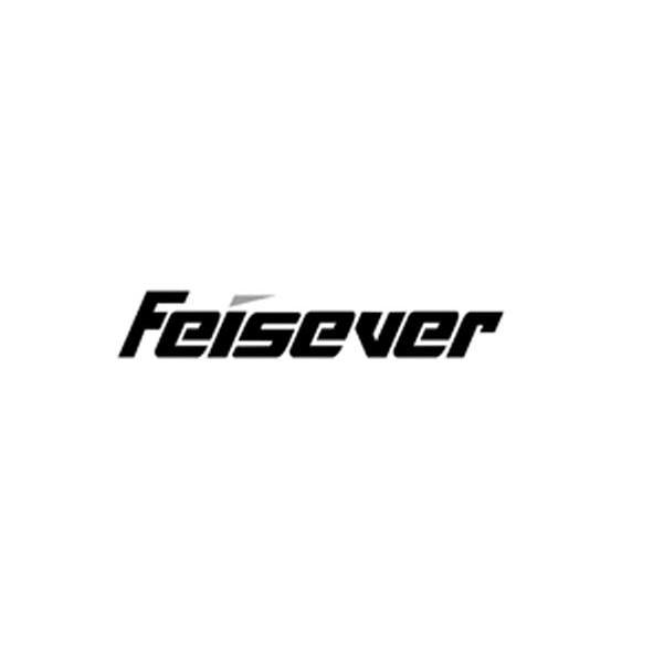 FEISEVER