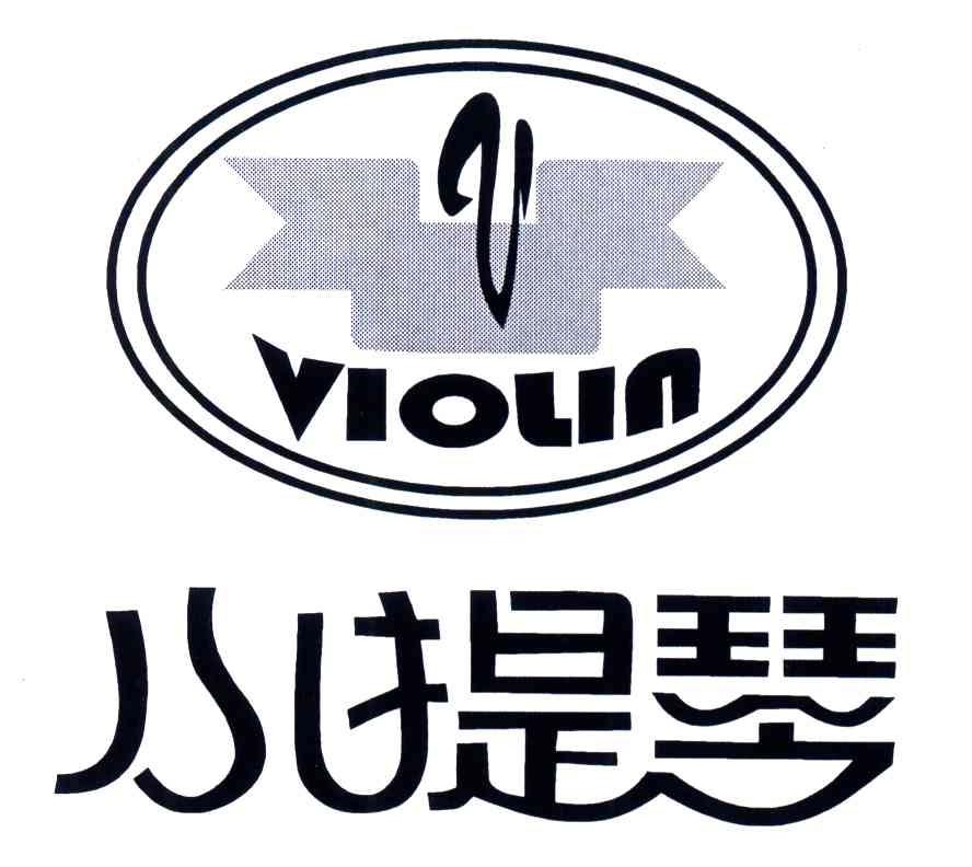 小提琴;VIOLIN