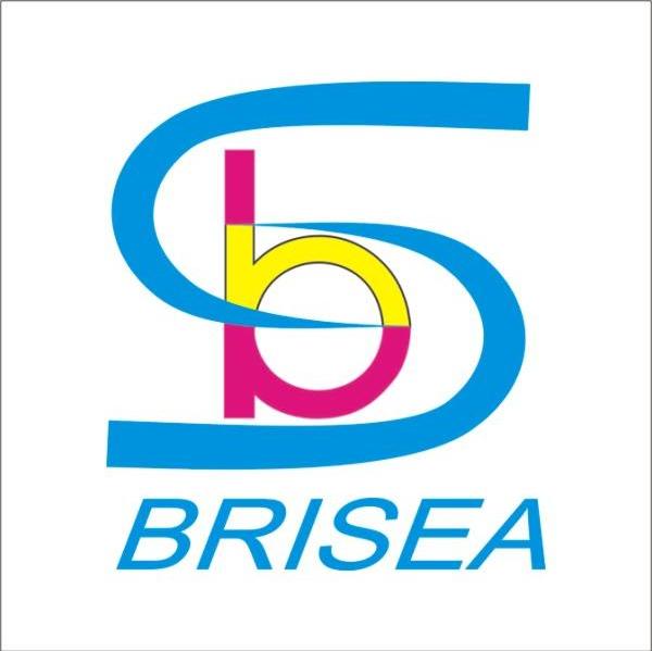 BRISEA