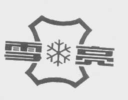 雪亮