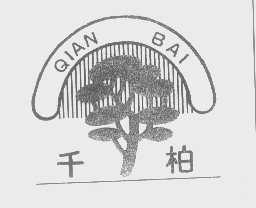 千柏