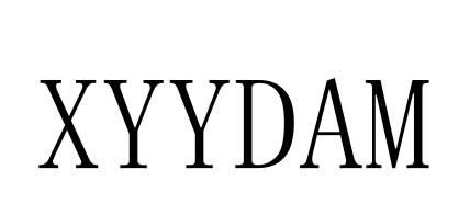 XYYDAM
