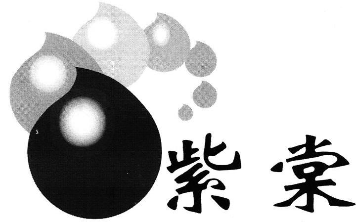 紫棠