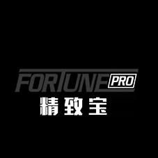精致宝 FORTUNE PRO