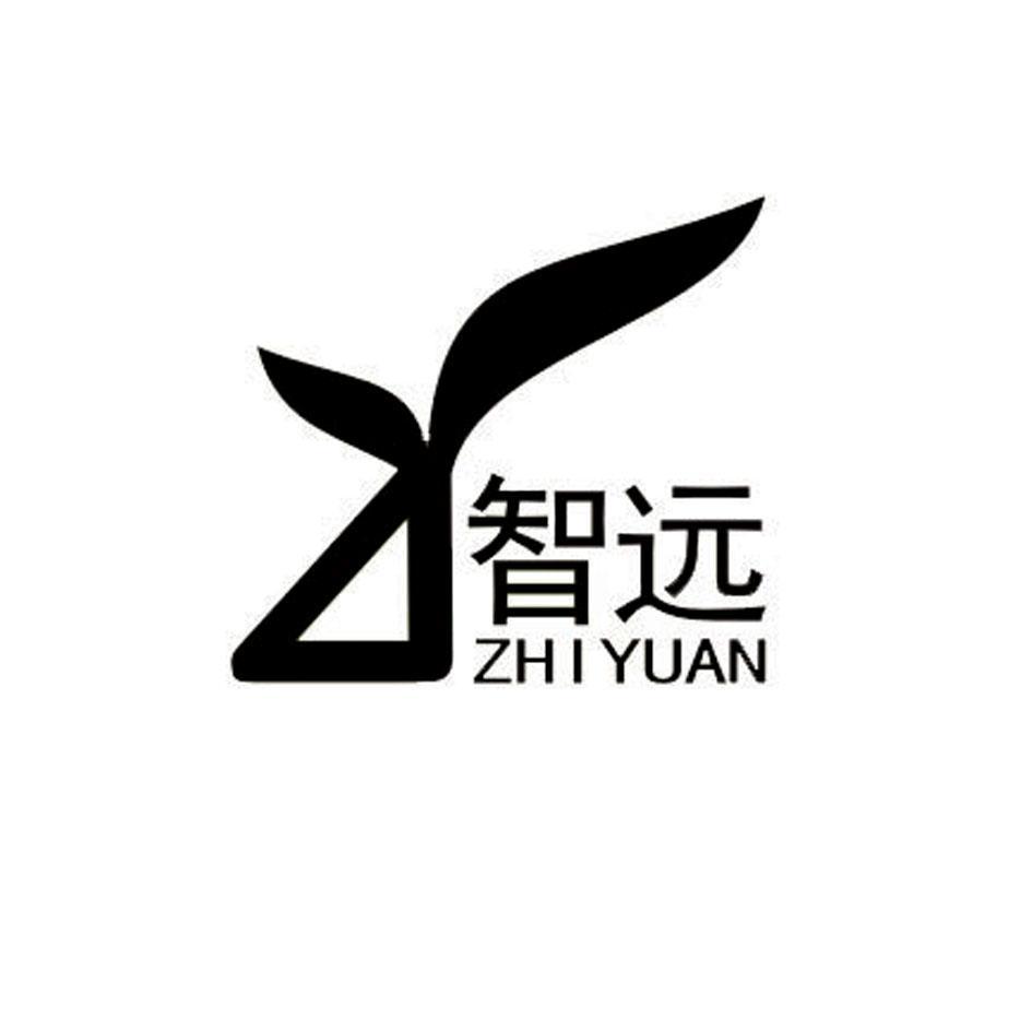 智远