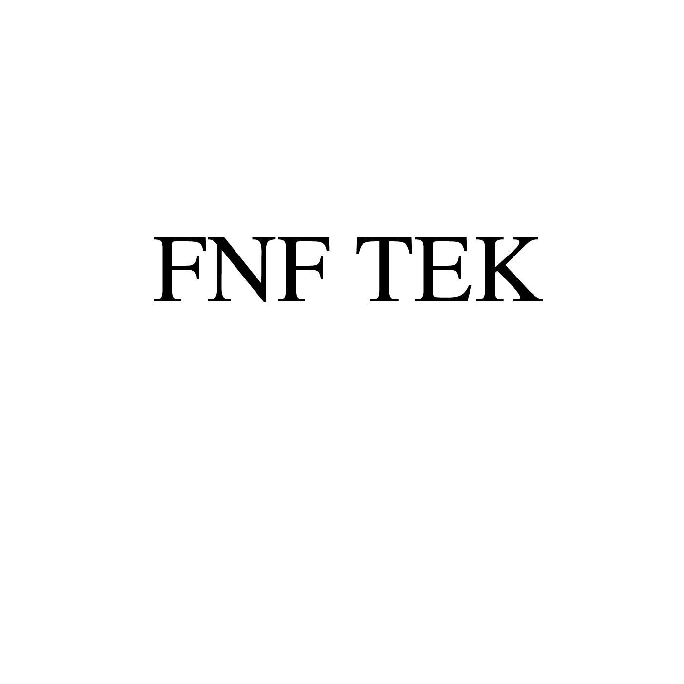 FNF TEK