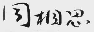 同相思