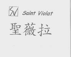 圣薇拉   SAINT VIOLAT