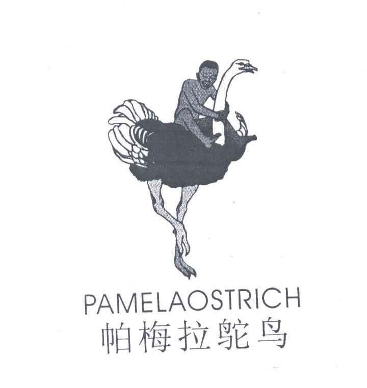 帕梅拉鸵鸟;PAMELAOSTRICH