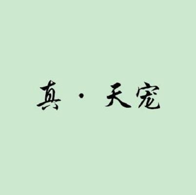 真&middot;天宠