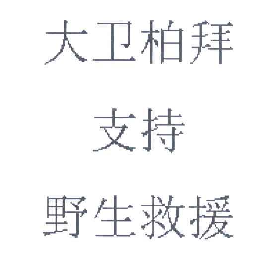 大卫柏拜支持野生救援