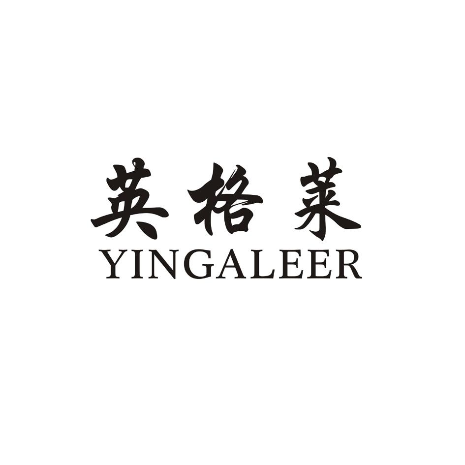 英格莱 YINGALEER