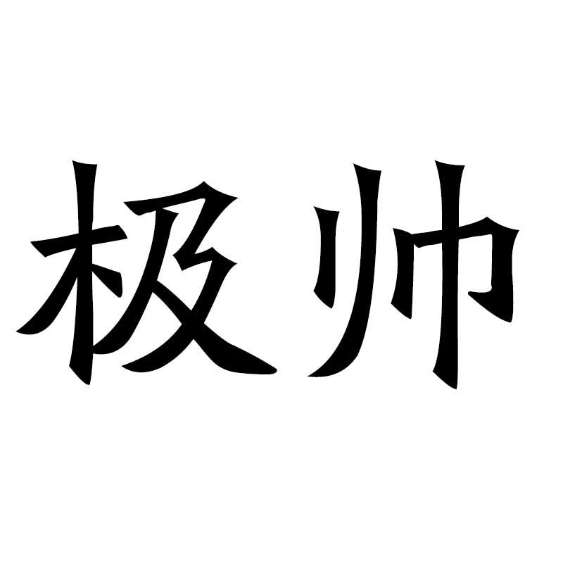 极帅