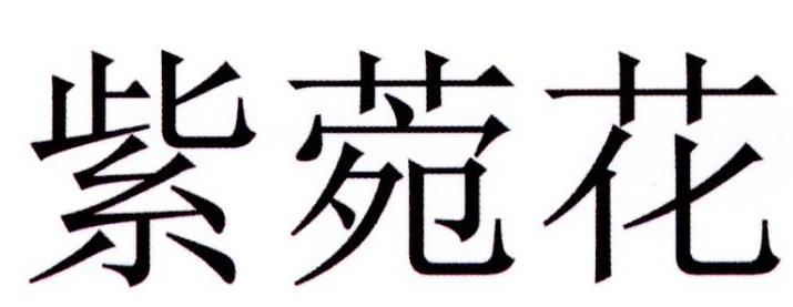 紫菀花