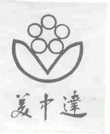 美中达