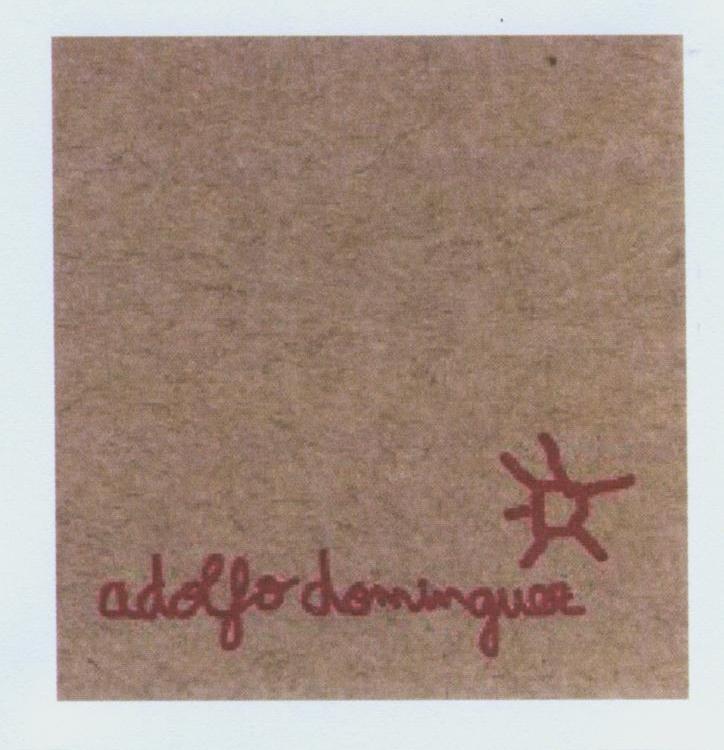 ADOLFO DOMINGUEZ