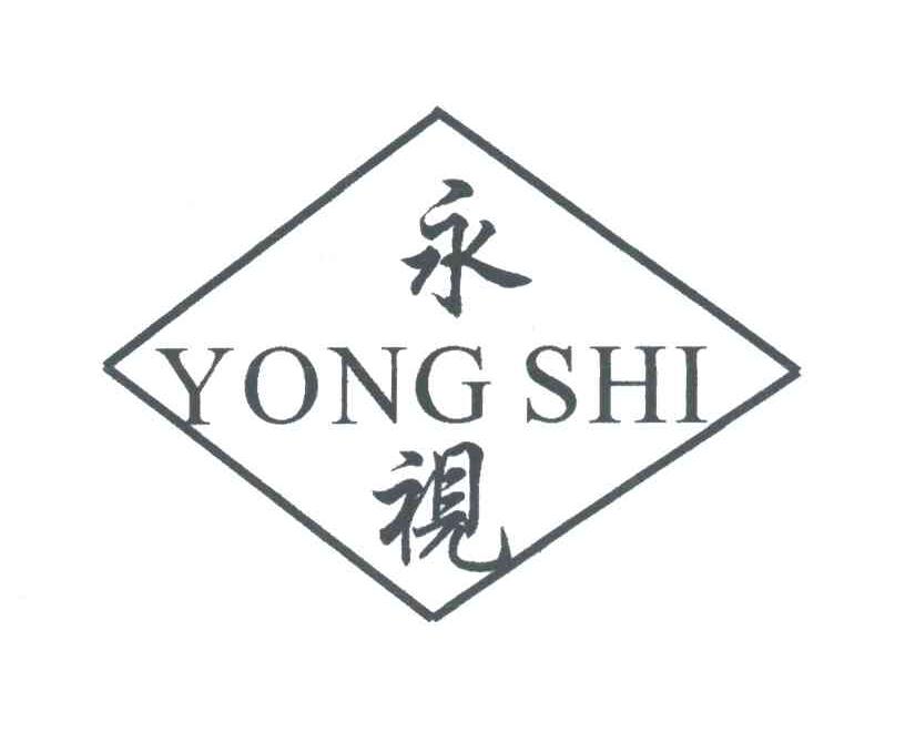 永视