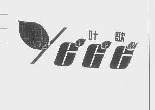 叶歌