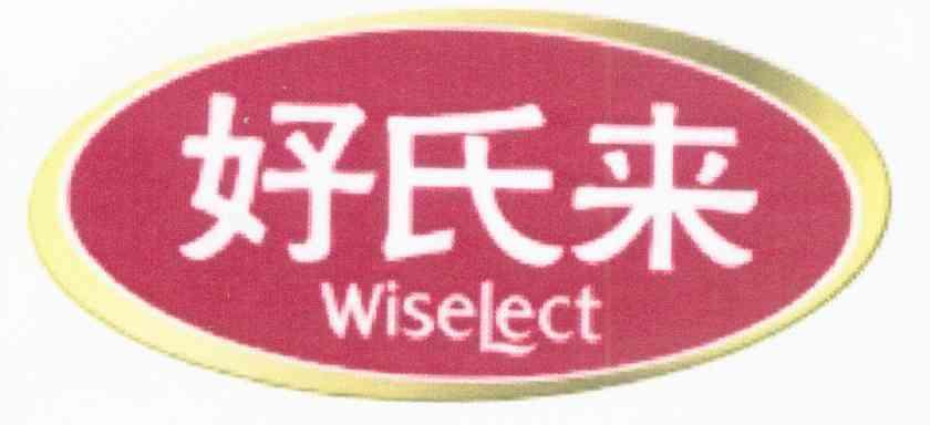 好氏来;WISELECT