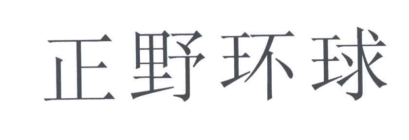 正野环球