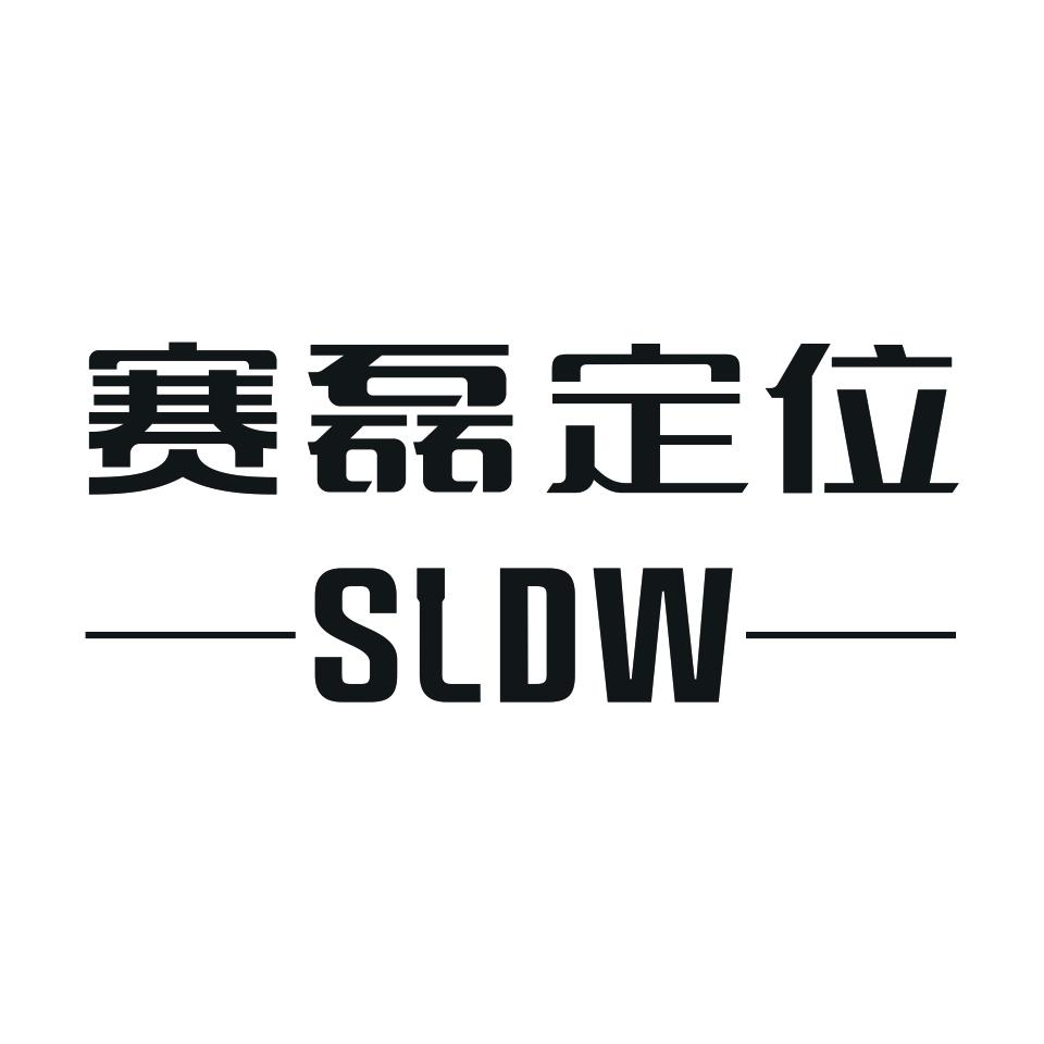 赛磊定位 SLDW