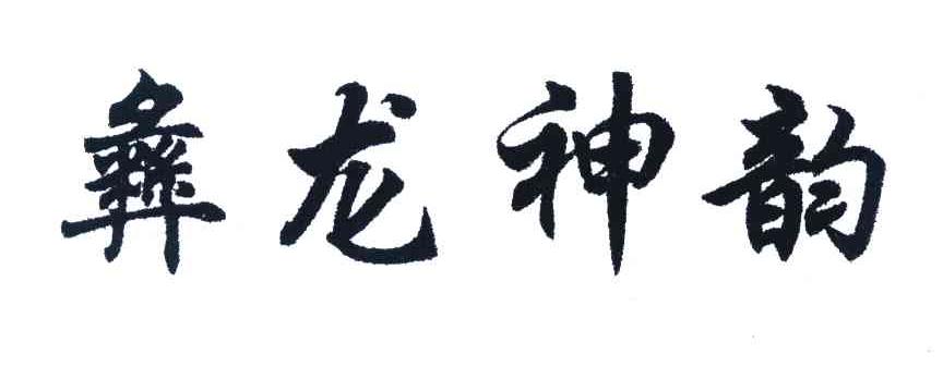 彝龙神韵