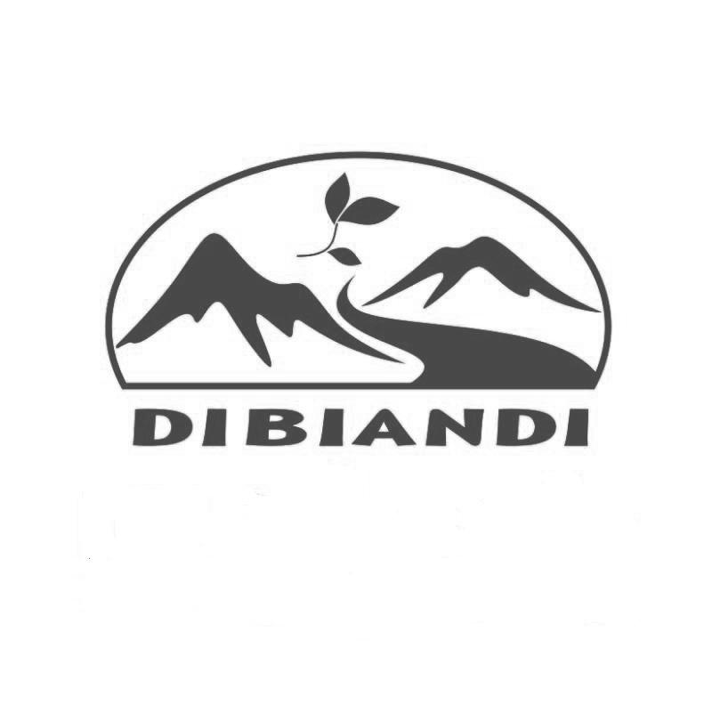 DIBIANDI