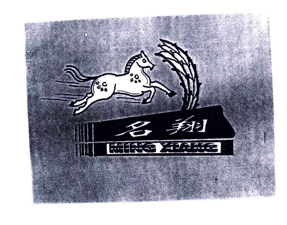 名翔;MING XIANG