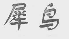 犀鸟