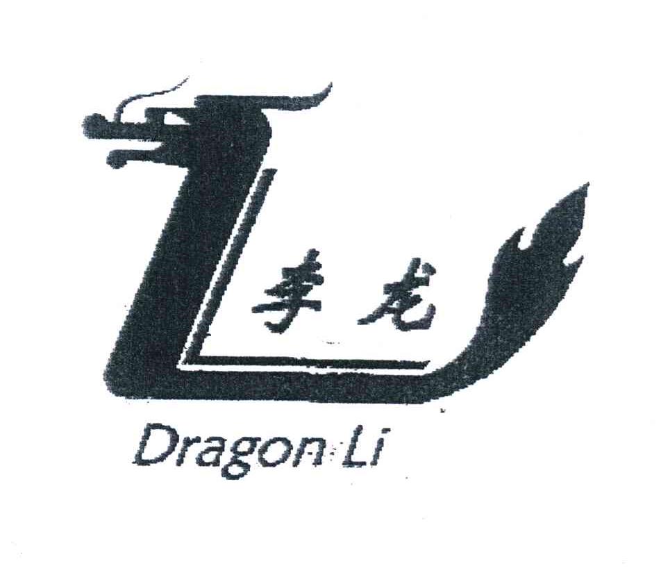 李龙 DRAGON LI
