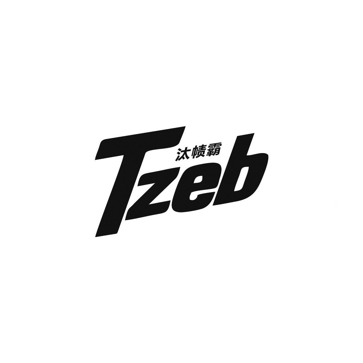 汰帻霸 TZEB