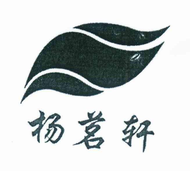 杨茗轩