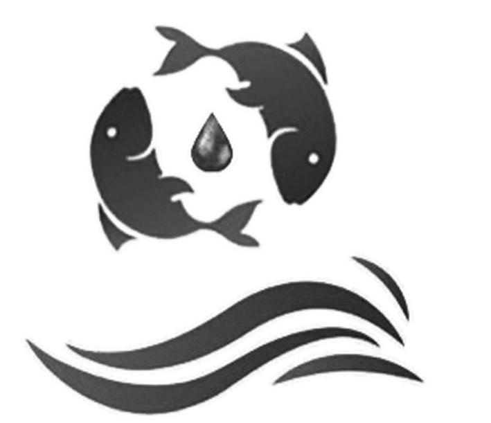图形