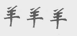 羊羊羊
