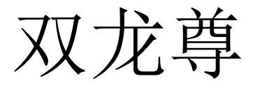 双龙尊