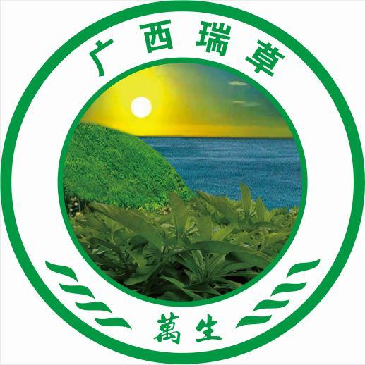 广西瑞草 万生