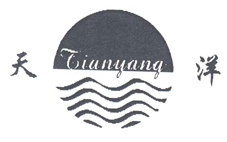 天洋