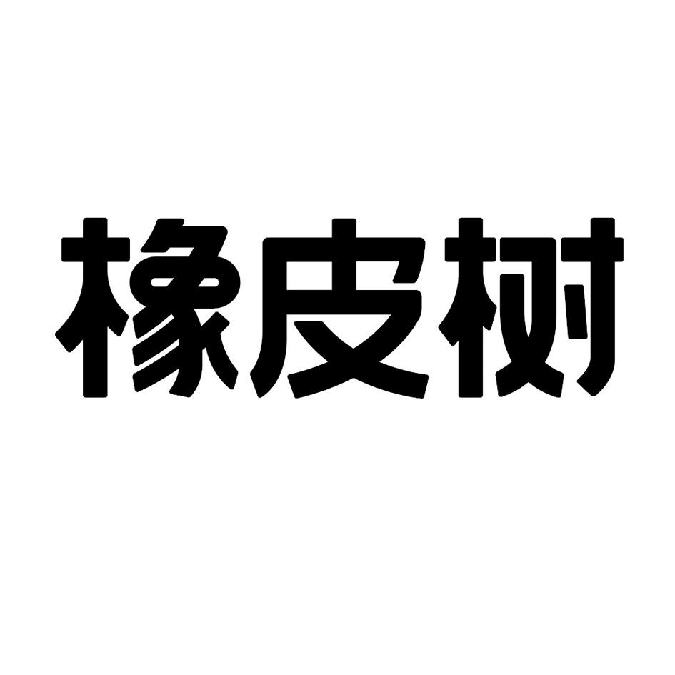 橡皮树