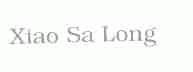 XIAO SA LONG