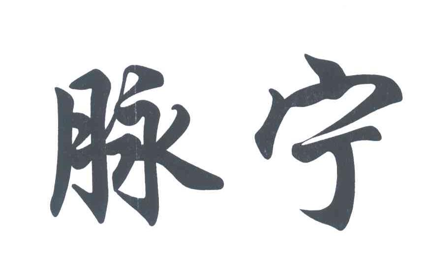 脉宁