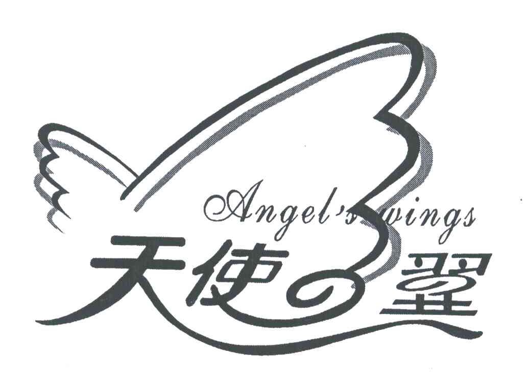 天使翼;ANGEL＇S WINGS