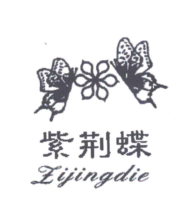 紫荆蝶