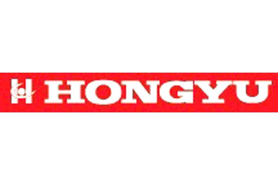 HONGYU H