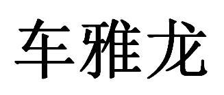 车雅龙