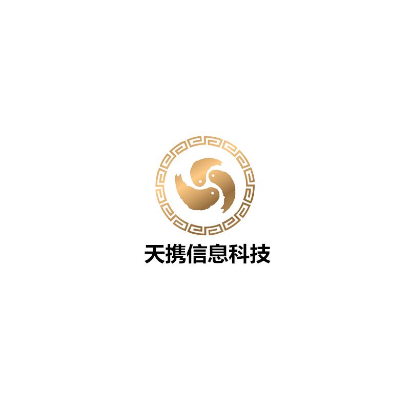 天携信息科技