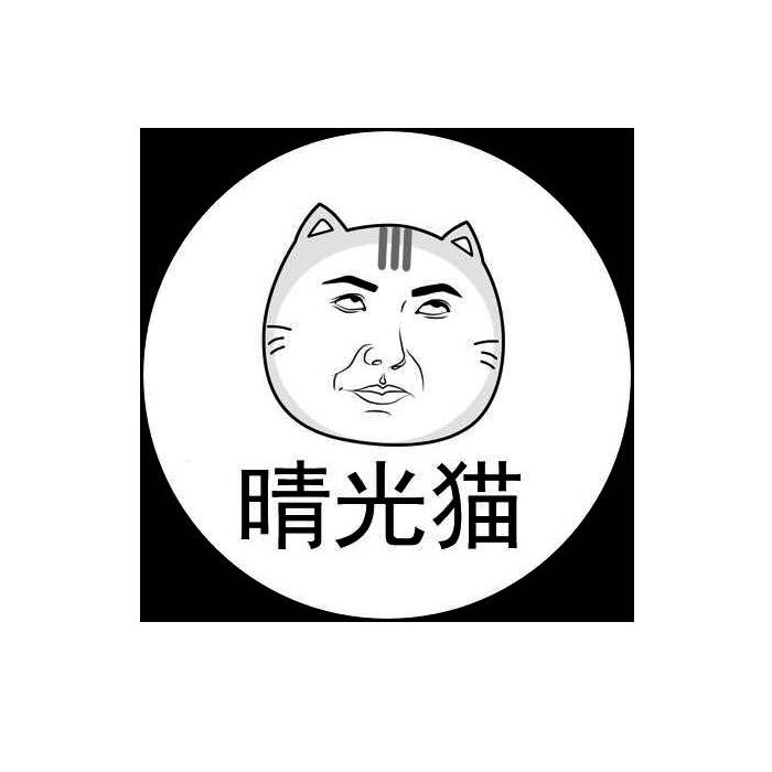 晴光猫
