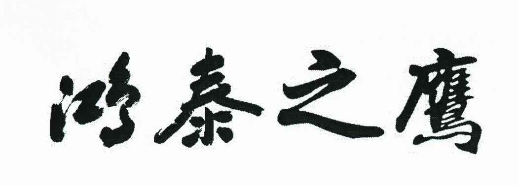 鸿泰之鹰