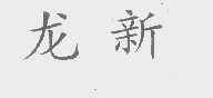 龙新