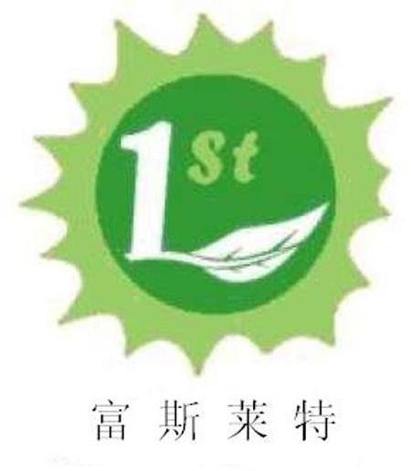 富斯莱特 1 ST